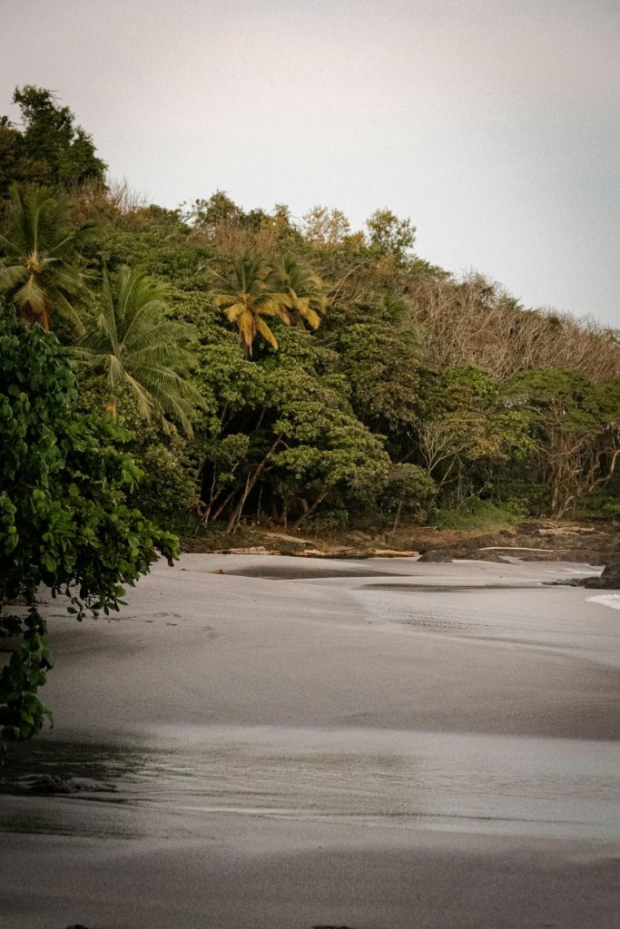 montezuma costa rica